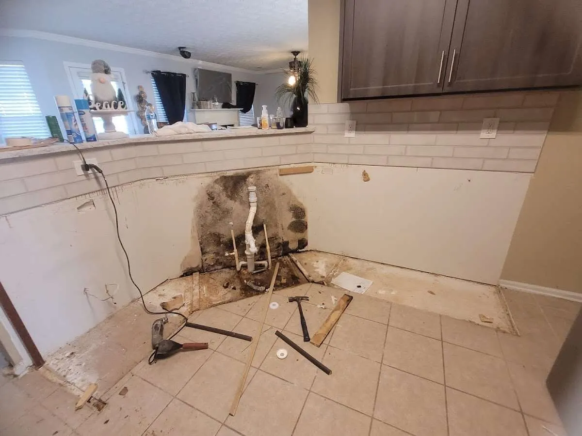 Mold behind wall with plumbing during Flood Damage Cleanup in Boulder